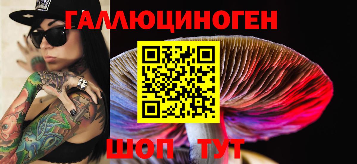 Озёры  Галлюциногенные грибы MAGIC MUSHROOMS  Вход с VPN 